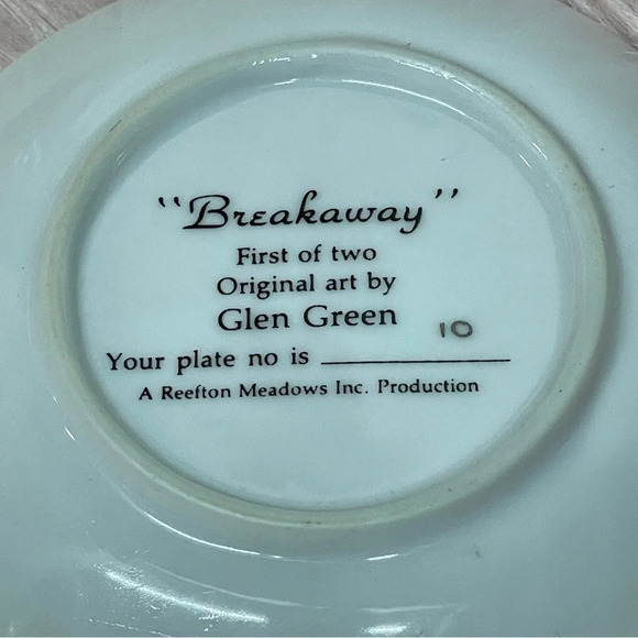 2  small sports collector plates - Picture 4 of 12